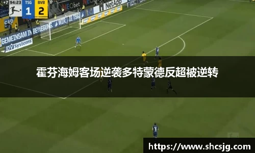 霍芬海姆客场逆袭多特蒙德反超被逆转