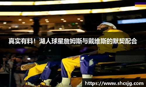 真实有料！湖人球星詹姆斯与戴维斯的默契配合