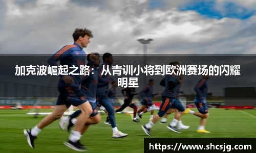中欧体育官网