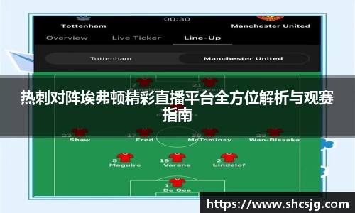 热刺对阵埃弗顿精彩直播平台全方位解析与观赛指南