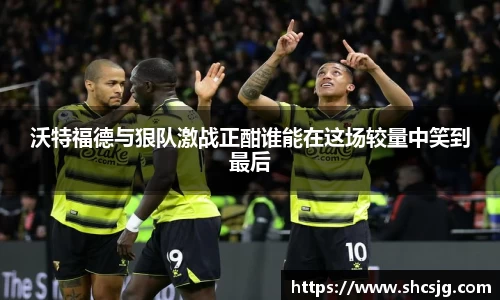 中欧体育官网