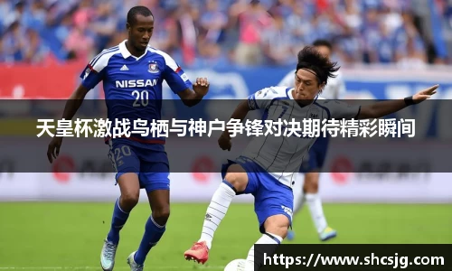 中欧体育